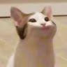 잉