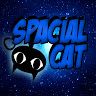 Spacial Cat