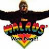 Mr Walrus