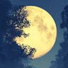 moon ligther