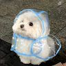 beebee super