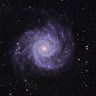 First Star King