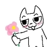 Kajki