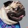 PogPug