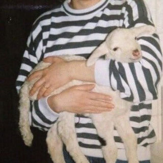 -