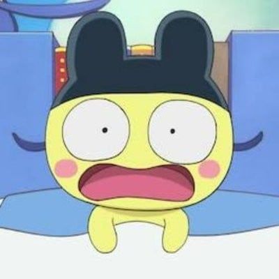 お気に入り