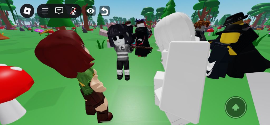 ANormalcosplayer on roblox