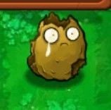 WetchedWalnut