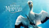 Live action little mermaid