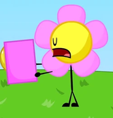 bfdi