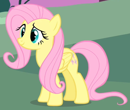 MLP 