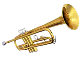 Random Stuff/Instruments