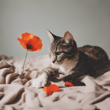 Poppy playtime 