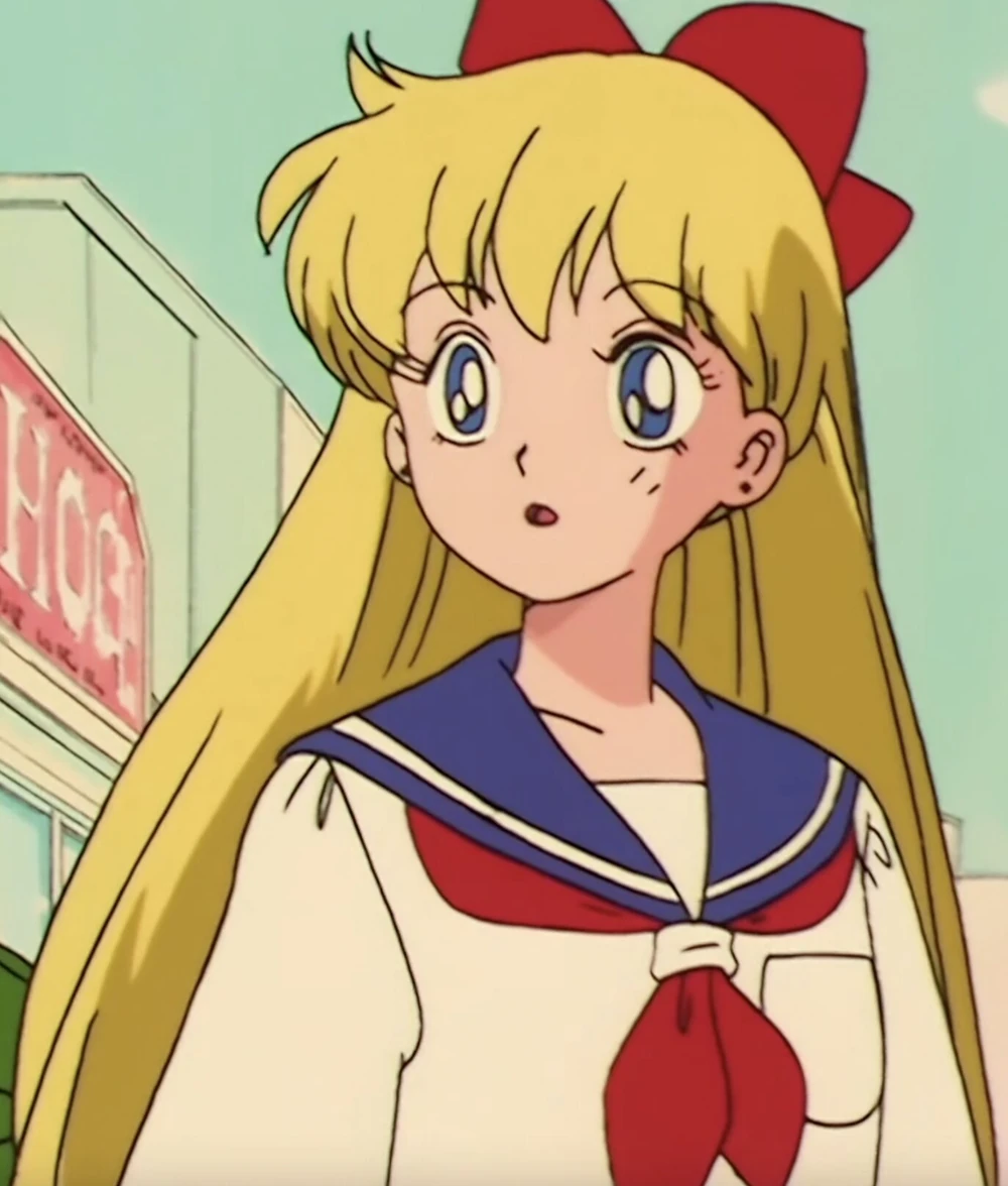 Sailor Moon Viz English Dub Voices