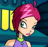 Clube Winx T1 (Via Satélite)