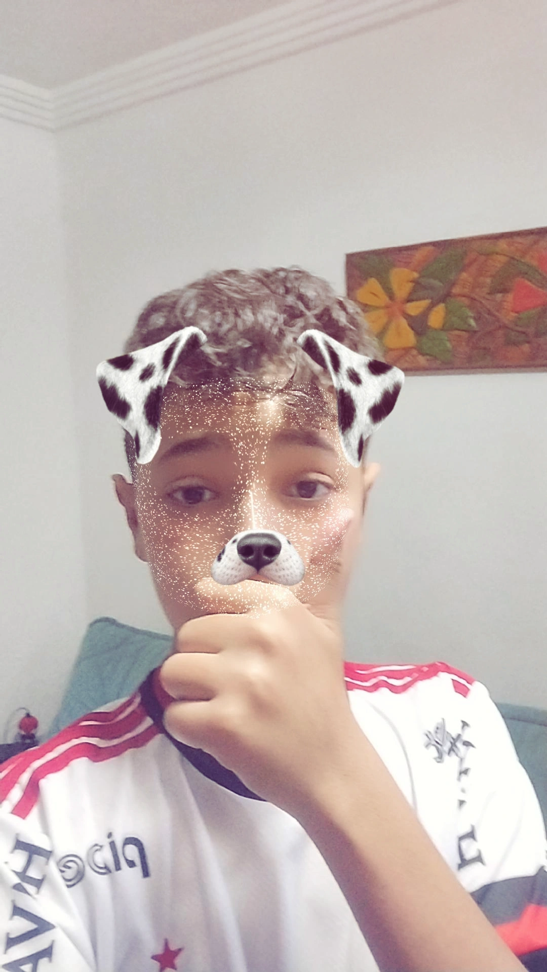 Modelos legais
