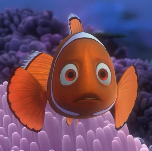 Finding Nemo