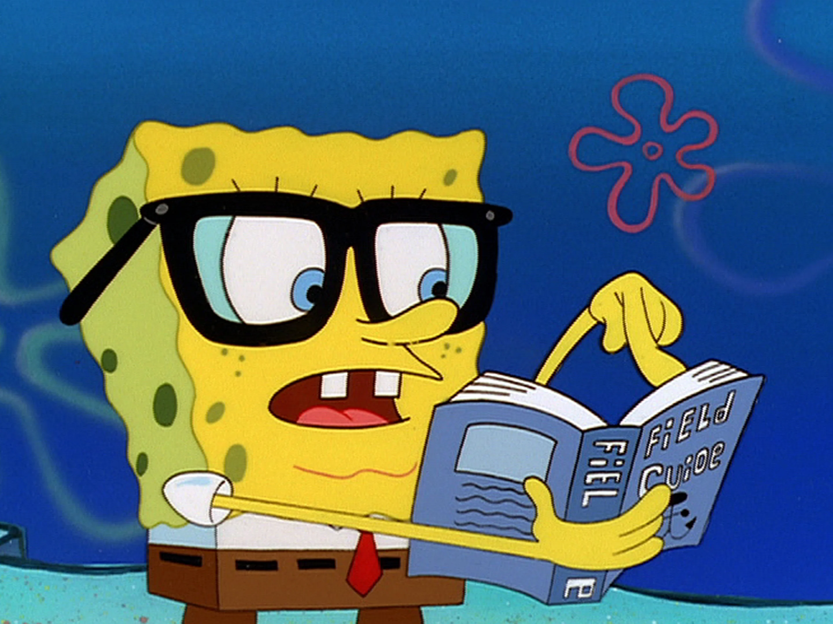 Spongebob (Bob Esponja)