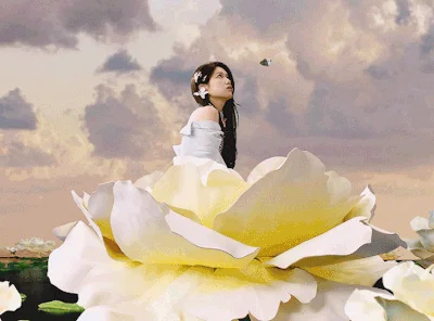 PETAL 꽃잎