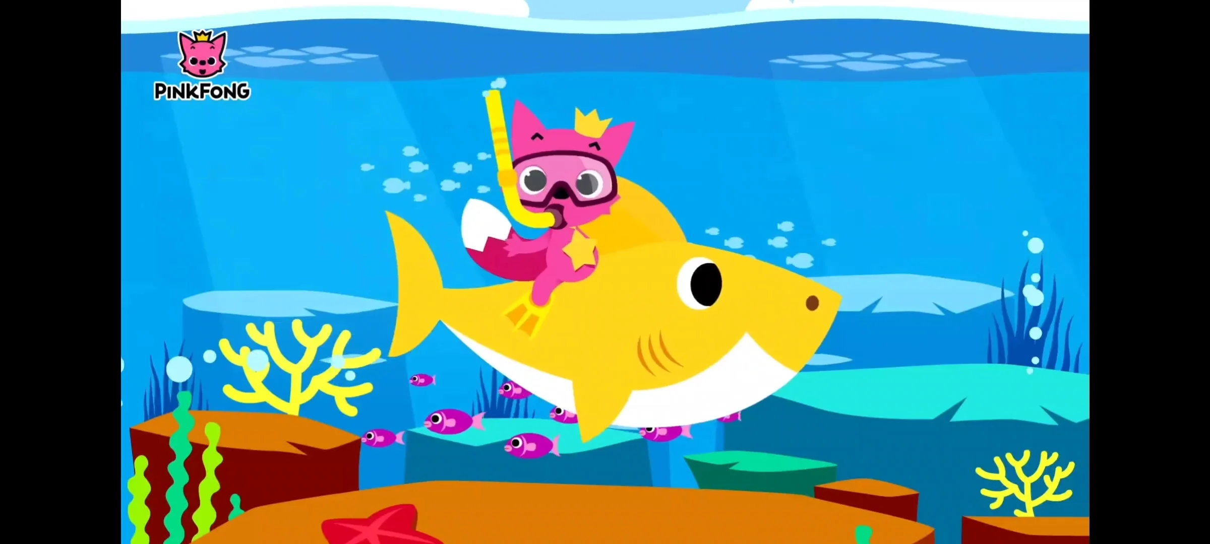 Basha (Baby Shark)