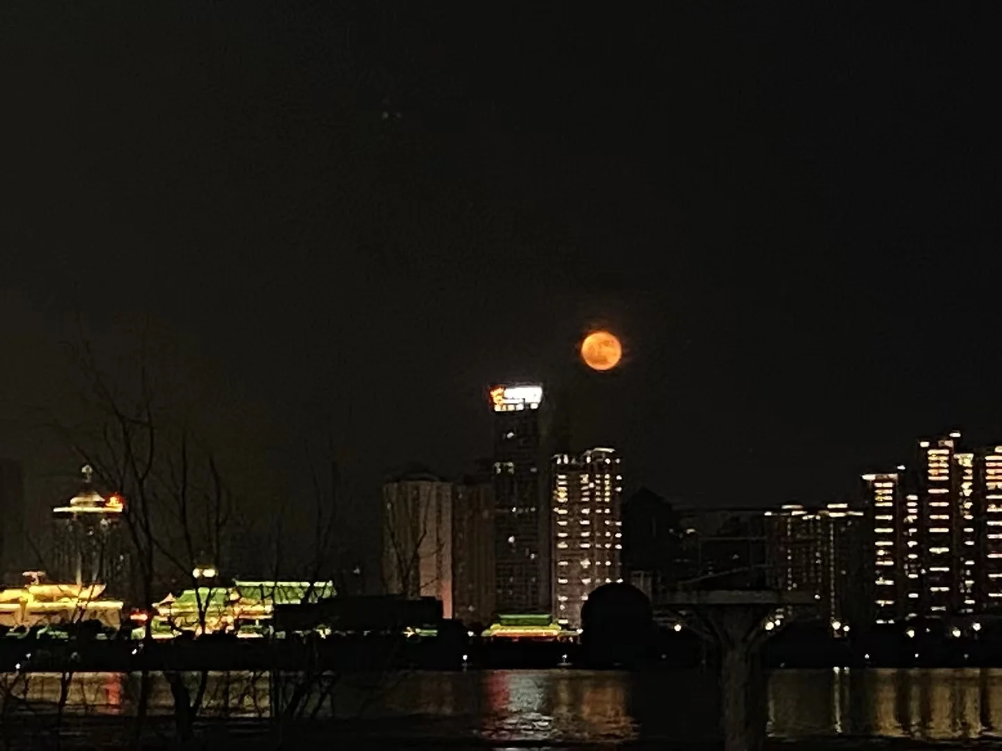 模型