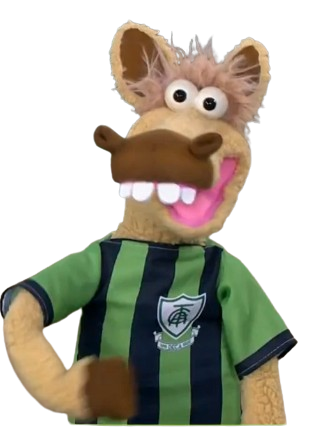 Cavalinhos do Fantástico