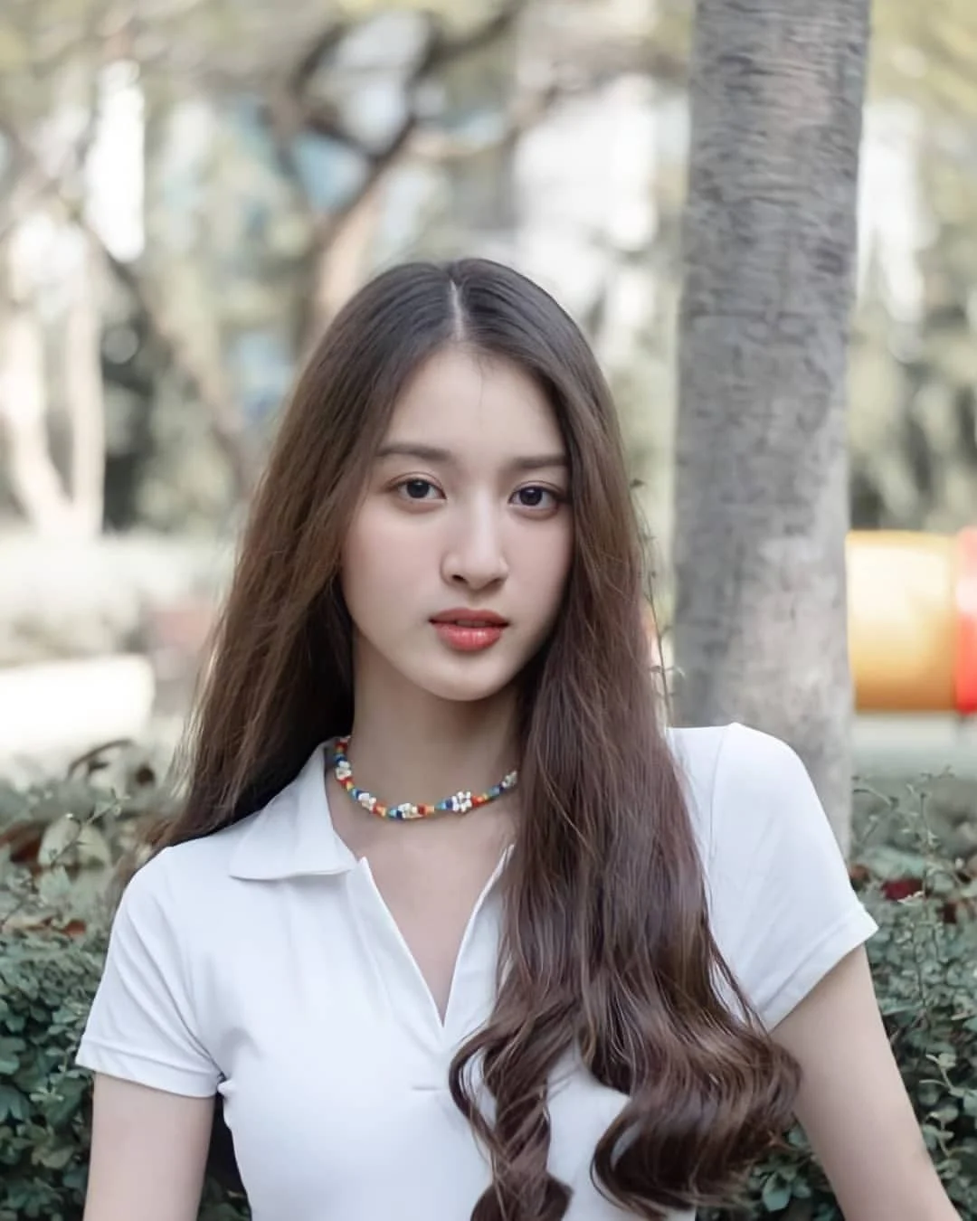 他泰
