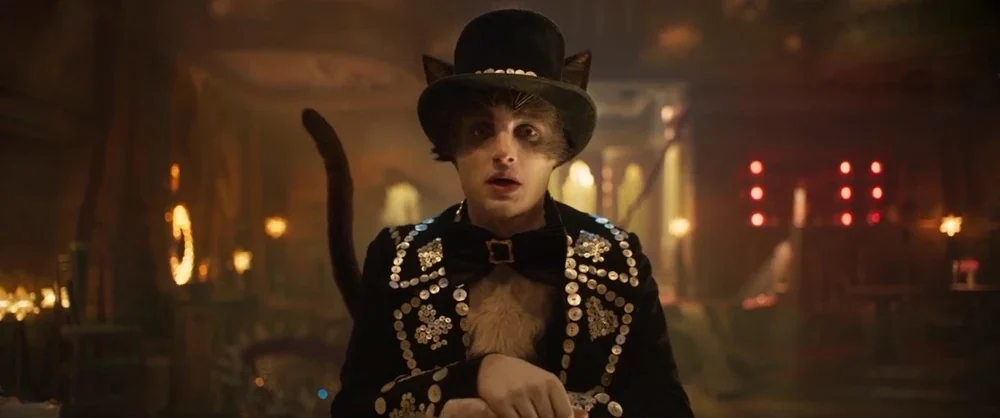 Cats