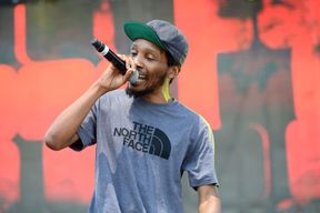 Del the Funky Homosapien