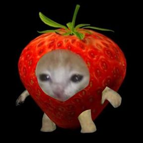 jej
