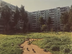 SEDA