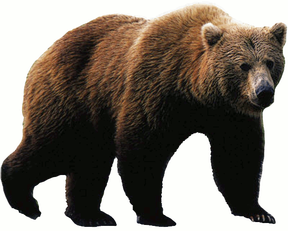 vlad