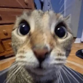 me