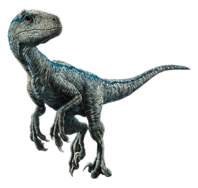 velociraptor blue