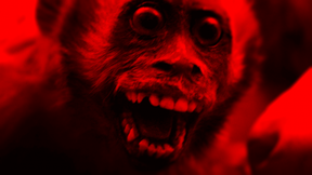 Macaco Con Banana