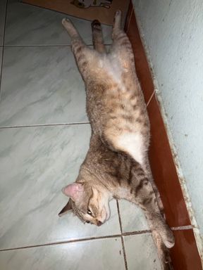 ตัวเราเอง~~~~~~><
