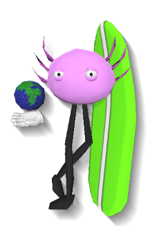 KinitoPET