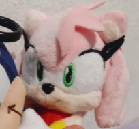 Amy Rose