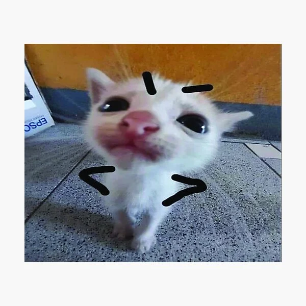 Leoneldustxddd