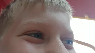 maarten