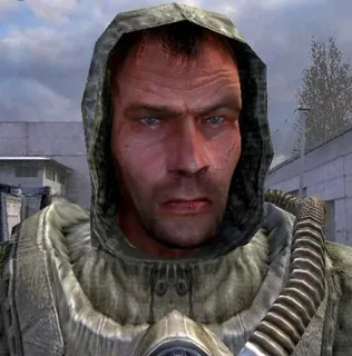 Волк сталкер ТЧ