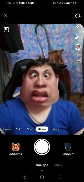 Peltnik