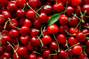 cereza / pino