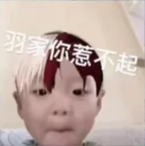 少羽语录