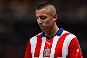 Piojo Alvarado