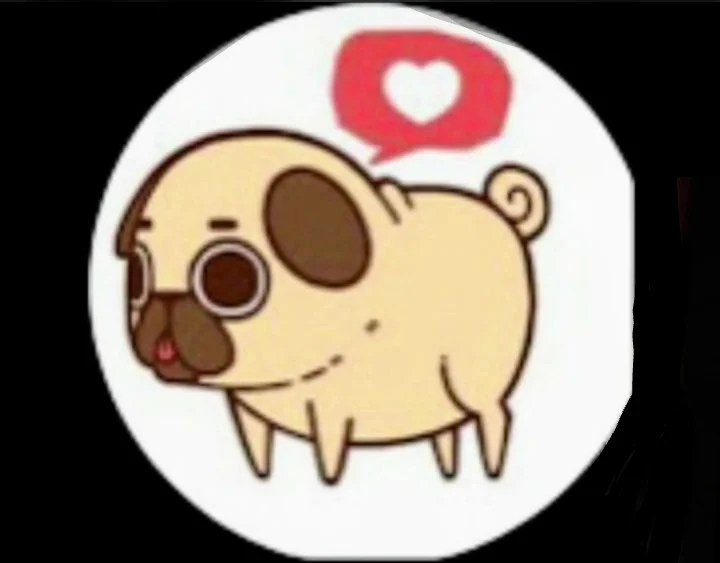 ChipiPug