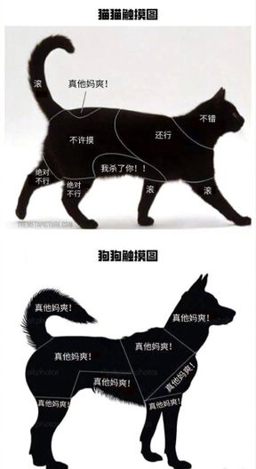 癥阍䰃䐹