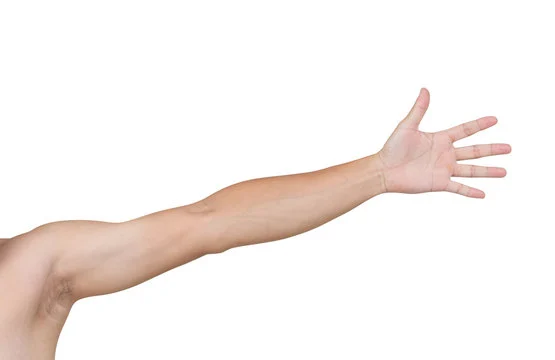 Arm