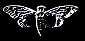 Cicada 3301/Find us