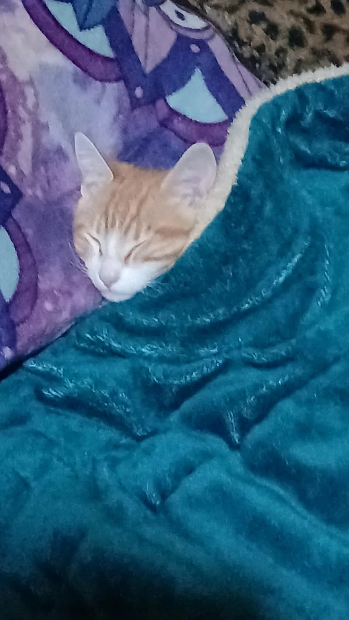 Diego